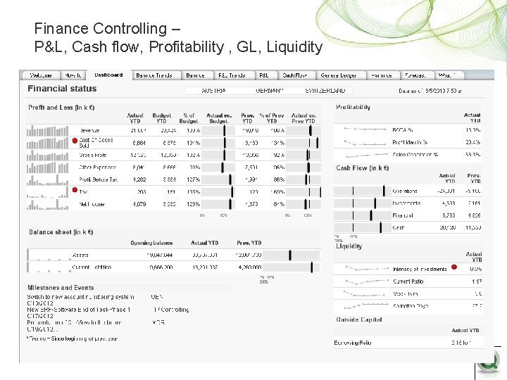 Finance Controlling – P&L, Cash flow, Profitability , GL, Liquidity 