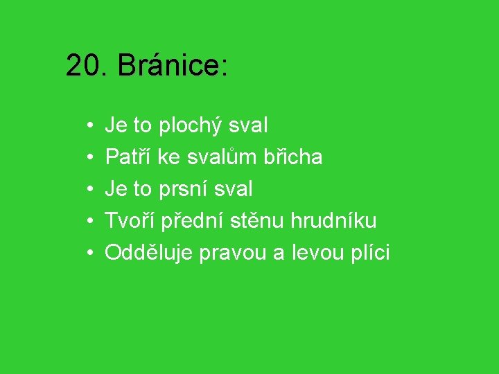 20. Bránice: • • • Je to plochý sval Patří ke svalům břicha Je