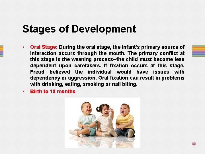 Stages of Development • • Oral Stage: During the oral stage, the infant's primary