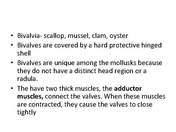  • Bivalvia- scallop, mussel, clam, oyster • Bivalves are covered by a hard