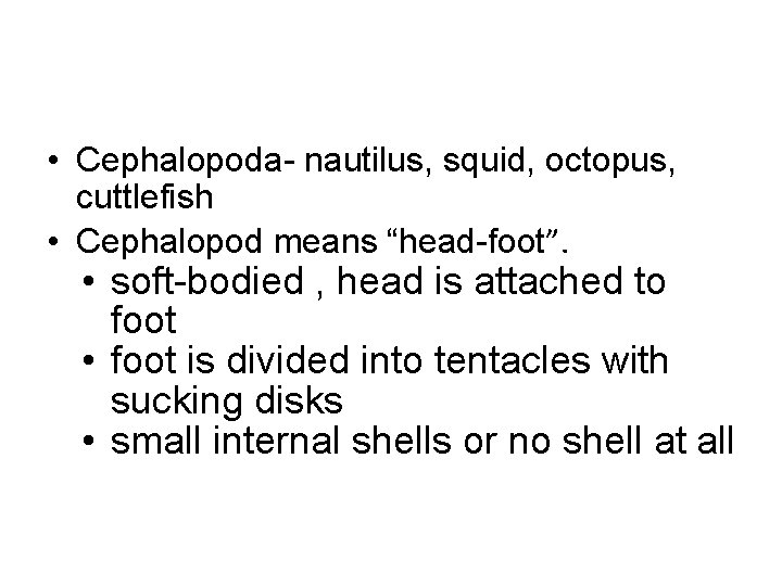  • Cephalopoda- nautilus, squid, octopus, cuttlefish • Cephalopod means “head-foot”. • soft-bodied ,