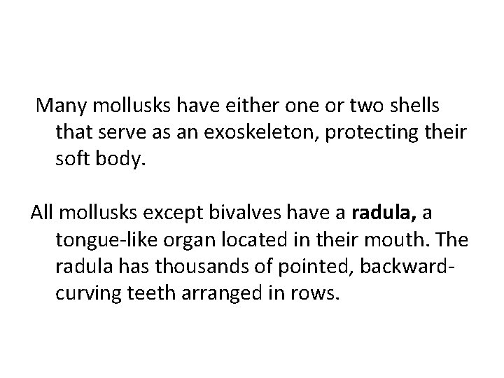 Many mollusks have either one or two shells that serve as an exoskeleton, protecting