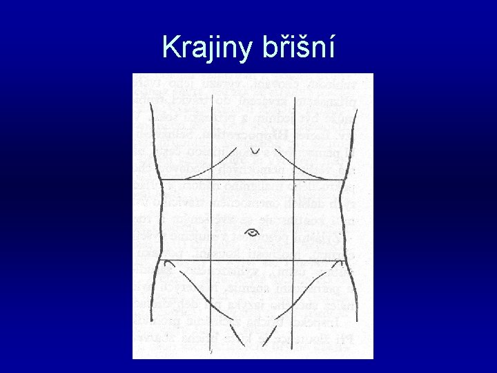 Krajiny břišní 