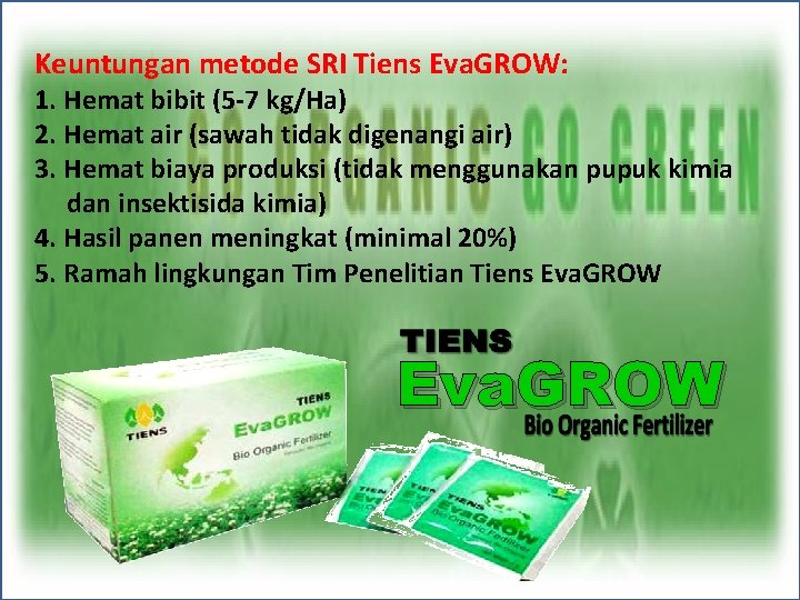 Keuntungan metode SRI Tiens Eva. GROW: 1. Hemat bibit (5 -7 kg/Ha) 2. Hemat