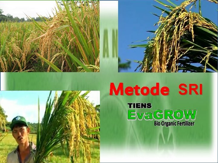 Metode SRI 