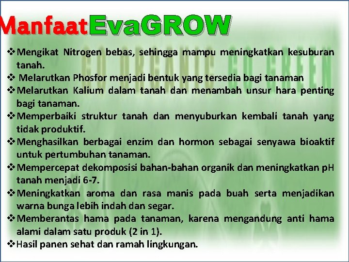 Manfaat Eva. GROW v Mengikat Nitrogen bebas, sehingga mampu meningkatkan kesuburan tanah. v Melarutkan