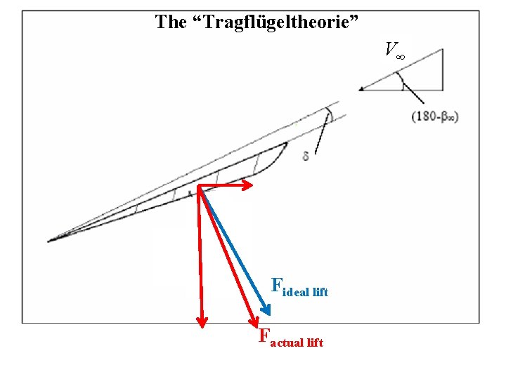 The “Tragflügeltheorie” V∞ Fideal lift Factual lift 