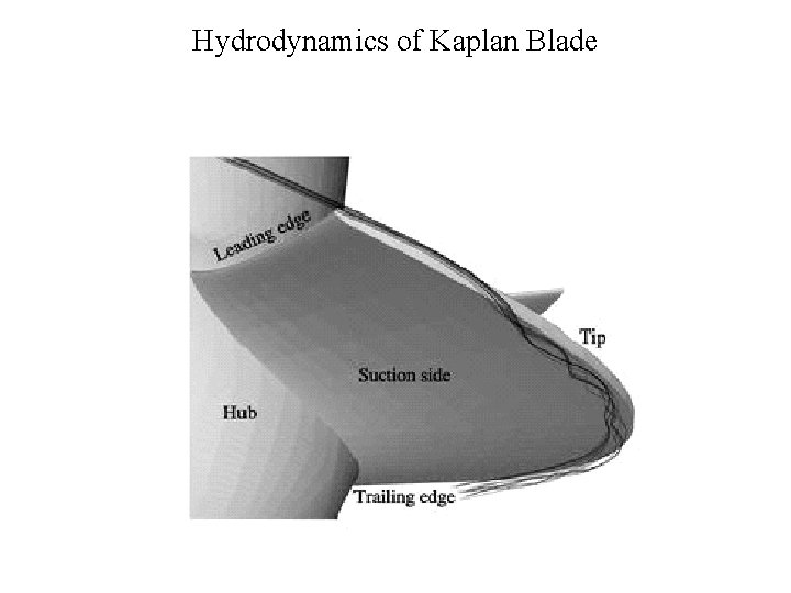 Hydrodynamics of Kaplan Blade 