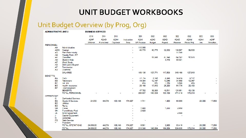 UNIT BUDGET WORKBOOKS Unit Budget Overview (by Prog, Org) 