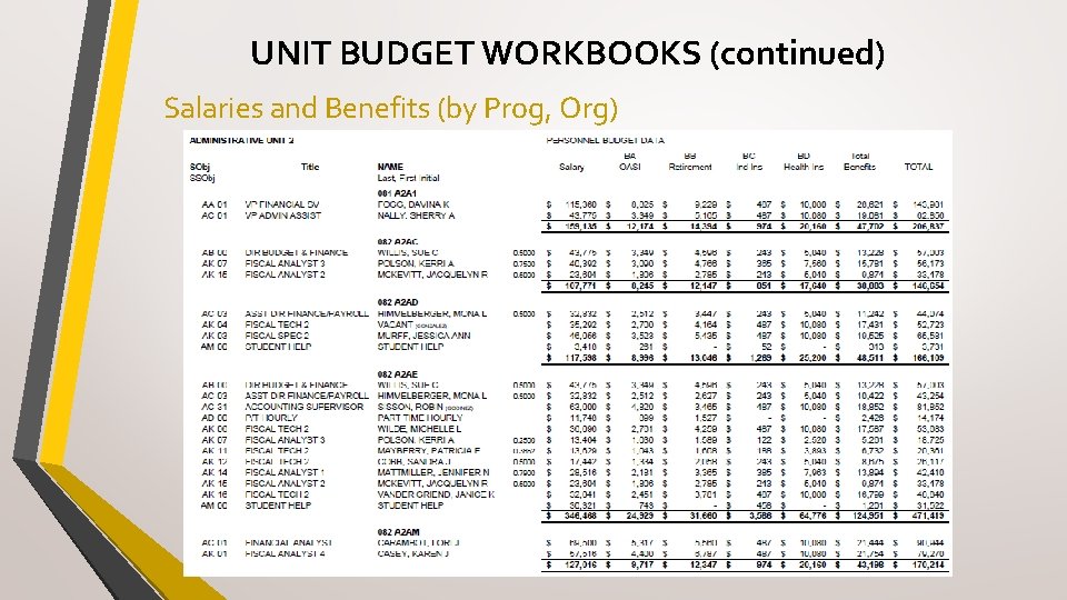 UNIT BUDGET WORKBOOKS (continued) Salaries and Benefits (by Prog, Org) 