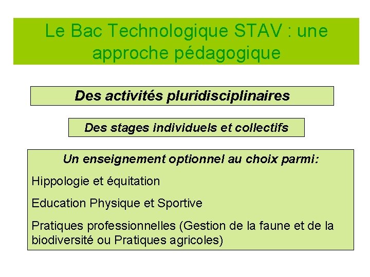 Le Bac Technologique STAV : une approche pédagogique Des activités pluridisciplinaires Des stages individuels