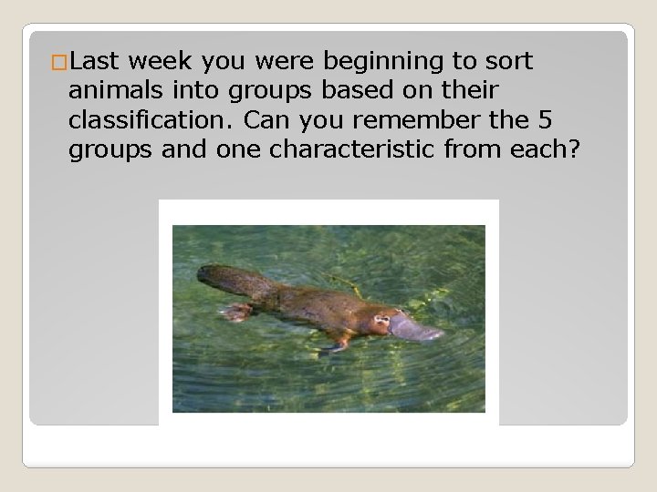 �Last week you were beginning to sort animals into groups based on their classification.