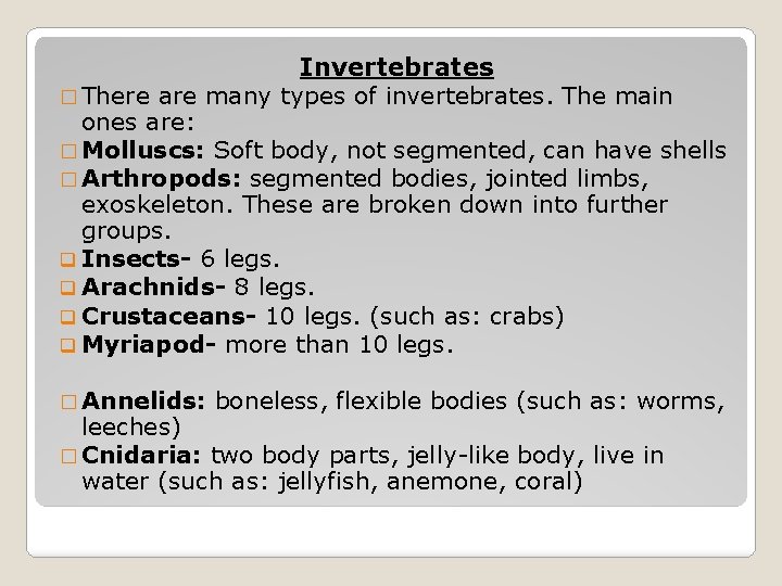 Invertebrates � There are many types of invertebrates. The main ones are: � Molluscs: