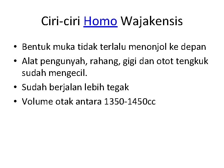 Ciri-ciri Homo Wajakensis • Bentuk muka tidak terlalu menonjol ke depan • Alat pengunyah,