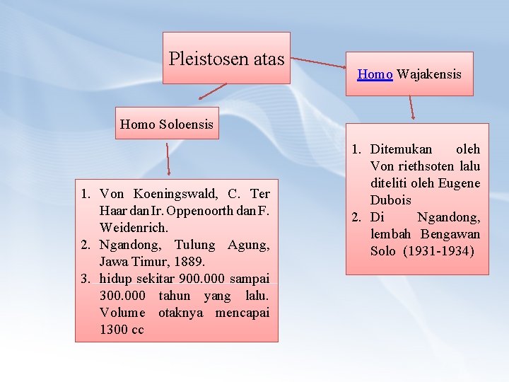 Pleistosen atas Homo Wajakensis Homo Soloensis 1. Von Koeningswald, C. Ter Haar dan Ir.