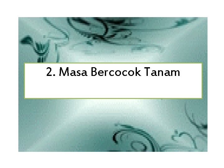 2. Masa Bercocok Tanam 