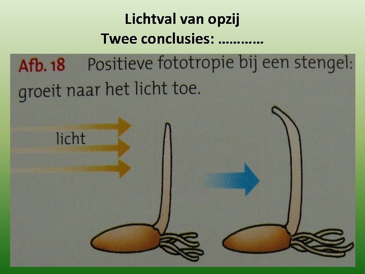 Lichtval van opzij Twee conclusies: ………… 