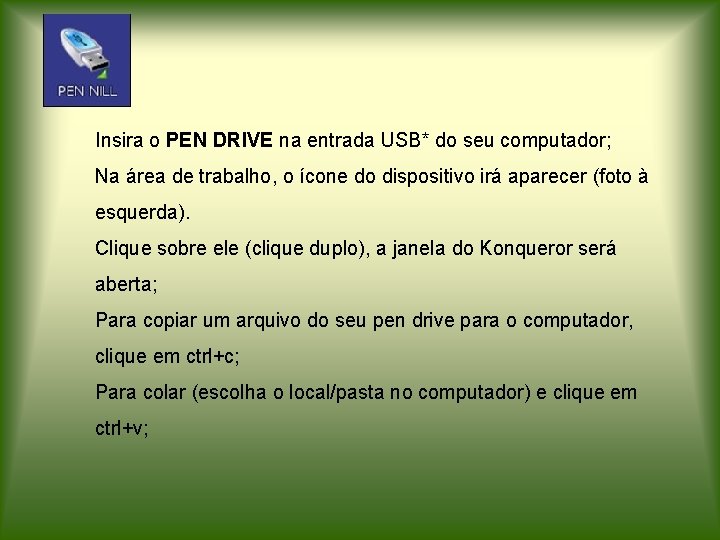 Insira o PEN DRIVE na entrada USB* do seu computador; Na área de trabalho,