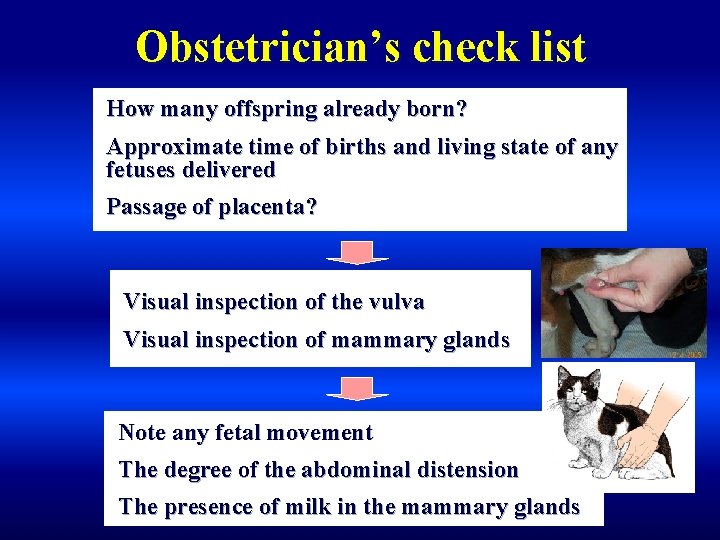 Obstetrician’s check list How many offspring already born? Approximate time of births and living