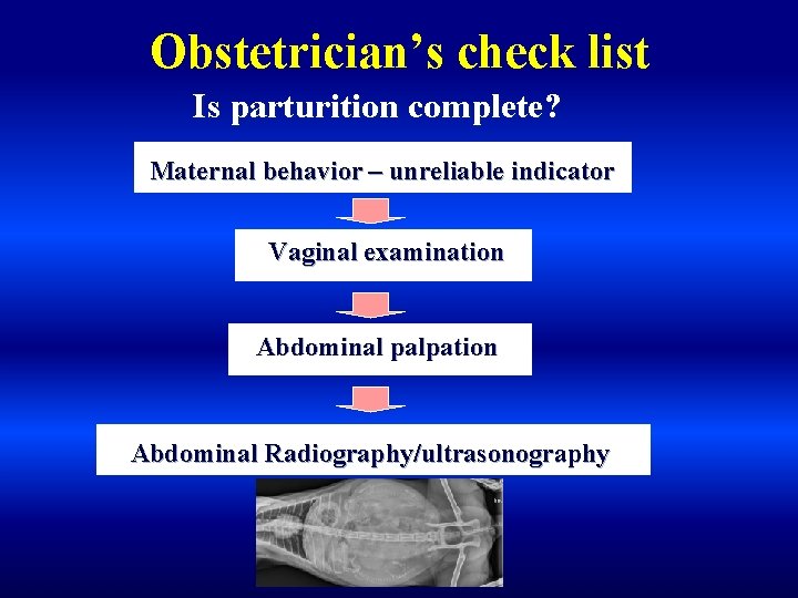 Obstetrician’s check list Is parturition complete? Maternal behavior – unreliable indicator Vaginal examination Abdominal