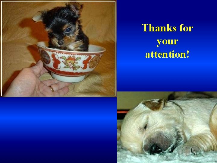 Thanks for your attention! 