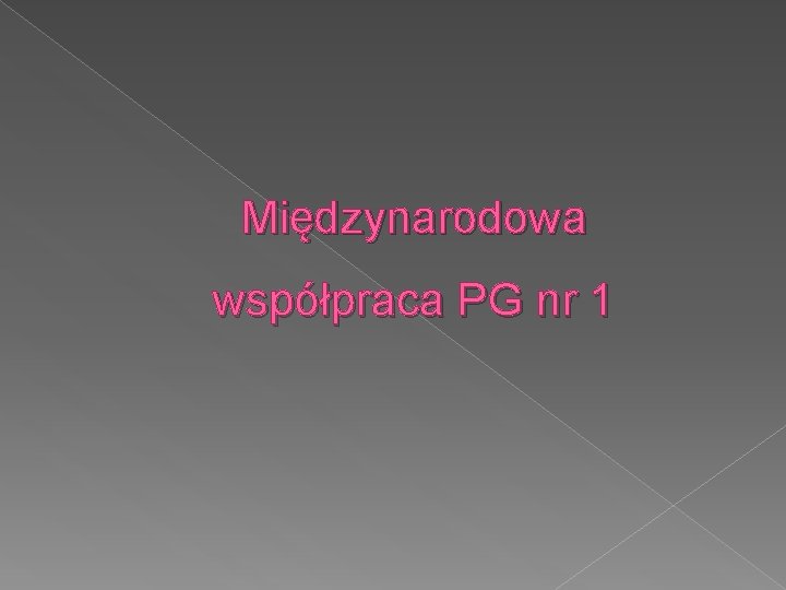 Międzynarodowa współpraca PG nr 1 