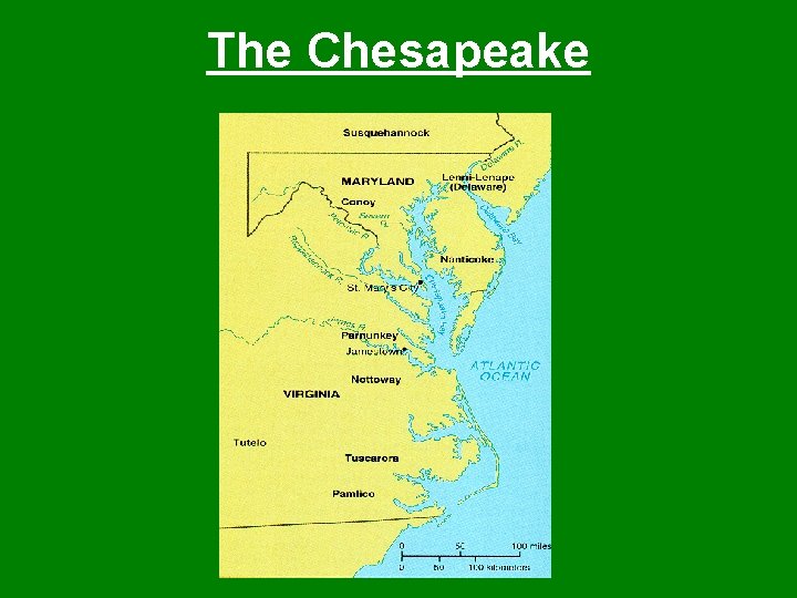 The Chesapeake 