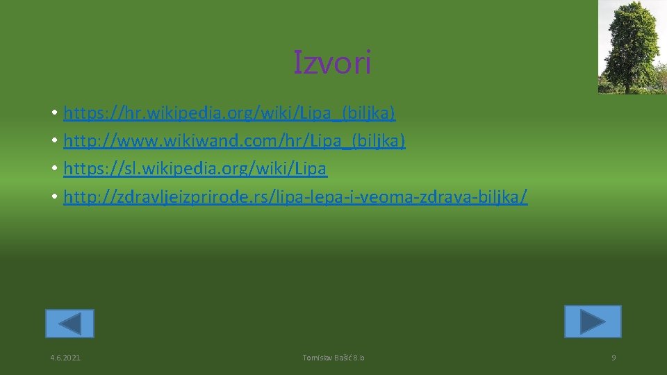 Izvori • https: //hr. wikipedia. org/wiki/Lipa_(biljka) • http: //www. wikiwand. com/hr/Lipa_(biljka) • https: //sl.