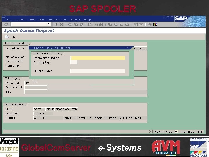SAP SPOOLER Global. Com. Server e-Systems 