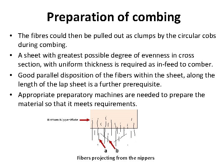Preparation of combing • The fibres could then be pulled out as clumps by