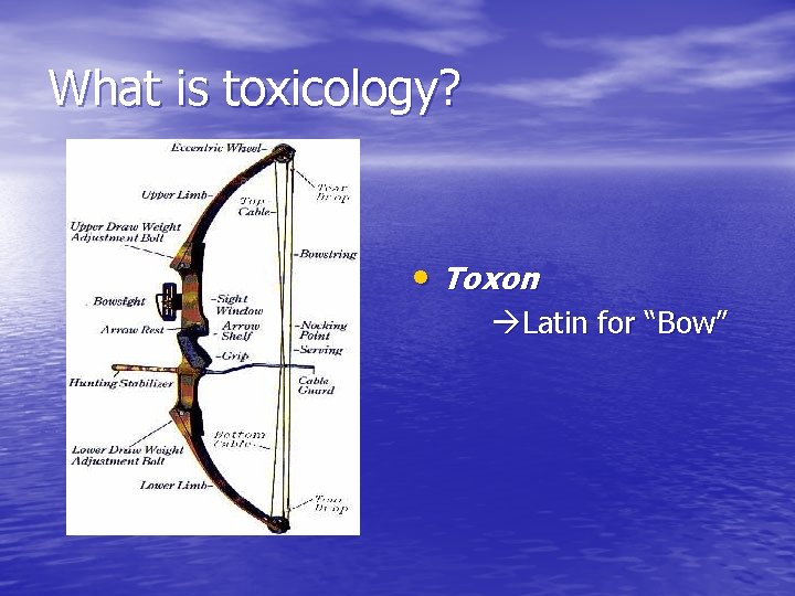 What is toxicology? • Toxon Latin for “Bow” 