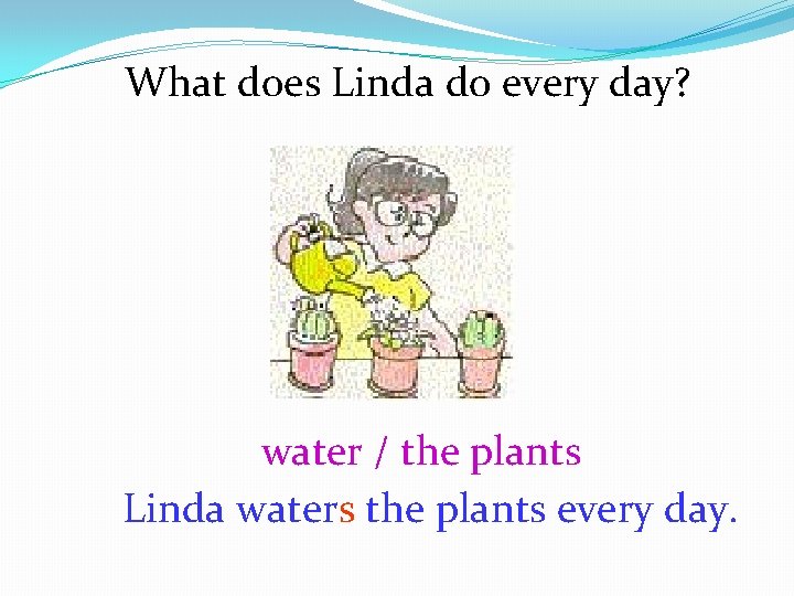 What does Linda do every day? water / the plants Linda waters the plants