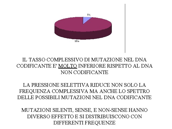 IL TASSO COMPLESSIVO DI MUTAZIONE NEL DNA CODIFICANTE E' MOLTO INFERIORE RISPETTO AL DNA