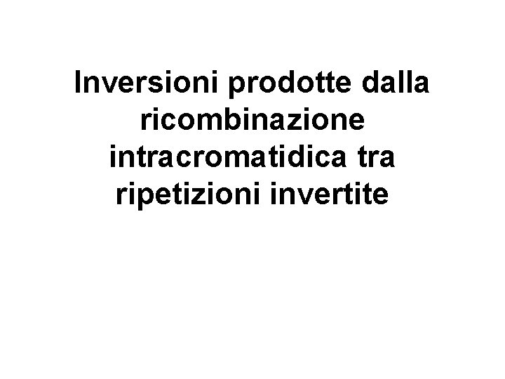 Inversioni prodotte dalla ricombinazione intracromatidica tra ripetizioni invertite 