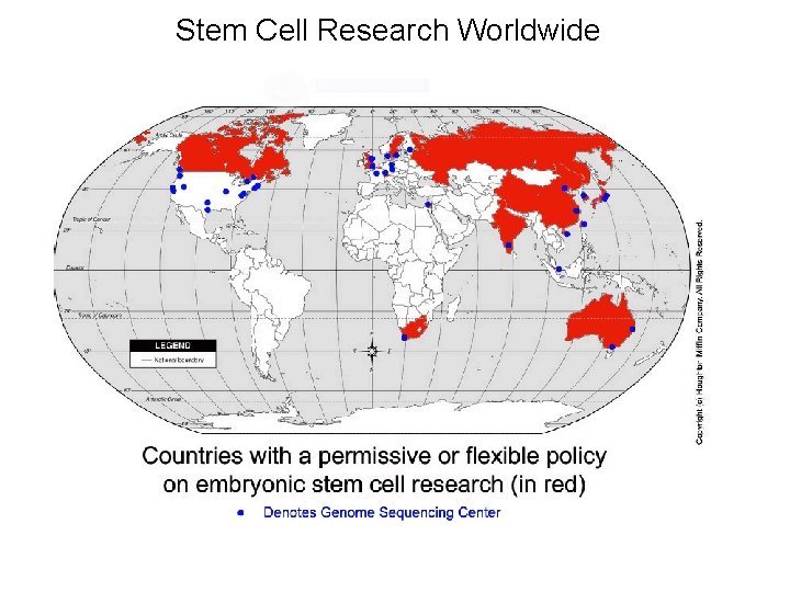 Stem Cell Research Worldwide 