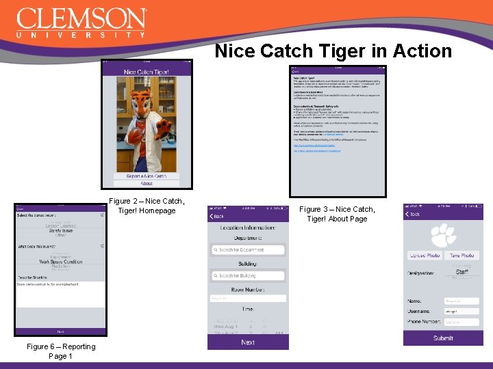 Nice Catch Tiger in Action Figure 2 – Nice Catch, Tiger! Homepage Figure 6