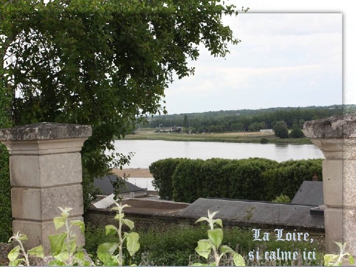 La Loire, si calme ici 