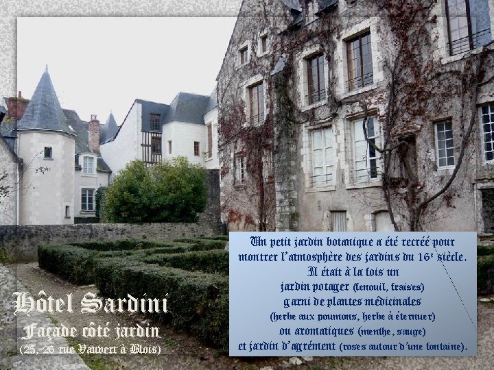 Hôtel Sardini Façade côté jardin (25, 26 rue Vauvert à Blois) Un petit jardin
