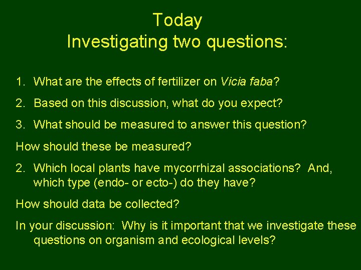 Today Investigating two questions: 1. What are the effects of fertilizer on Vicia faba?