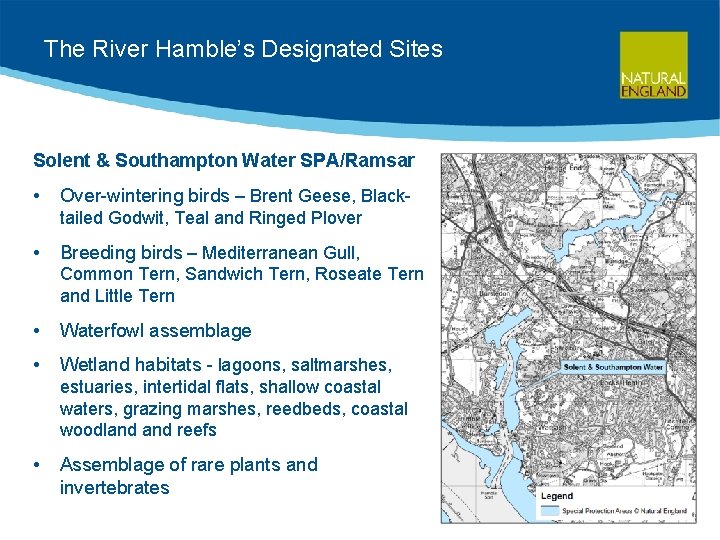The River Hamble’s Designated Sites Solent & Southampton Water SPA/Ramsar • Over-wintering birds –