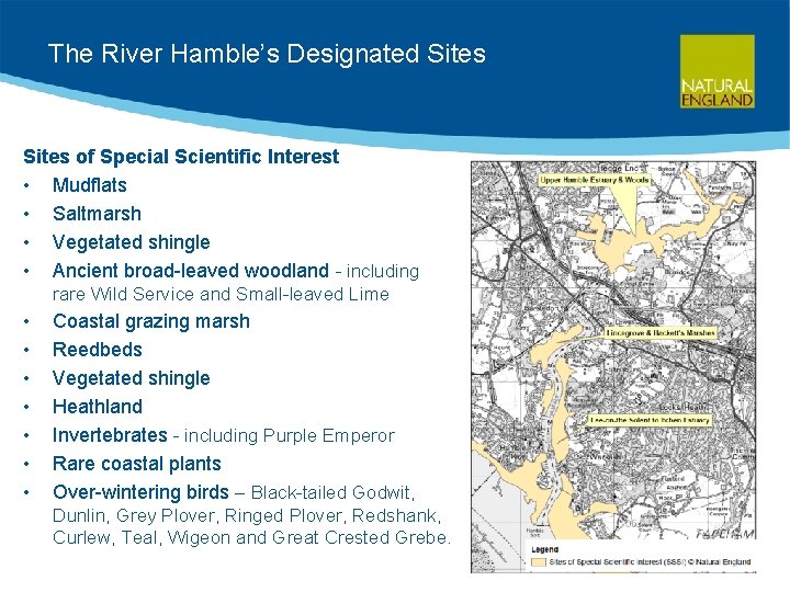 The River Hamble’s Designated Sites of Special Scientific Interest • Mudflats • Saltmarsh •