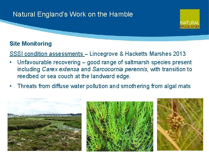 Natural England’s Work on the Hamble Site Monitoring SSSI condition assessments – Lincegrove &