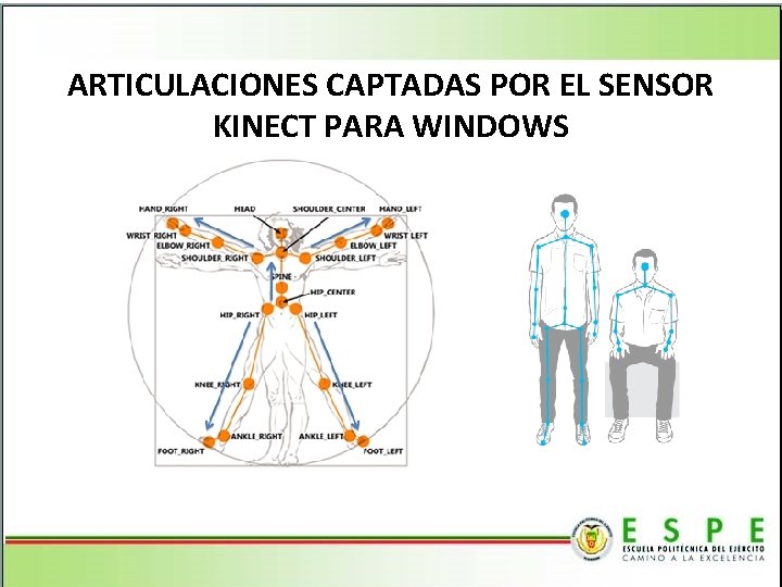ARTICULACIONES CAPTADAS POR EL SENSOR KINECT PARA WINDOWS 