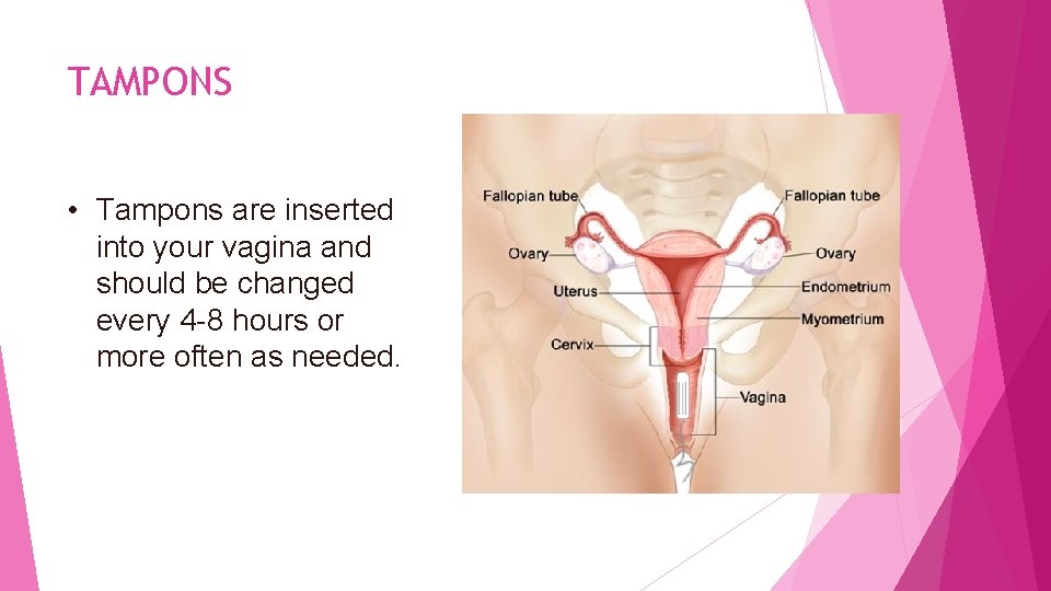 TAMPONS • Tampons are inserted into your vagina and should be changed every 4