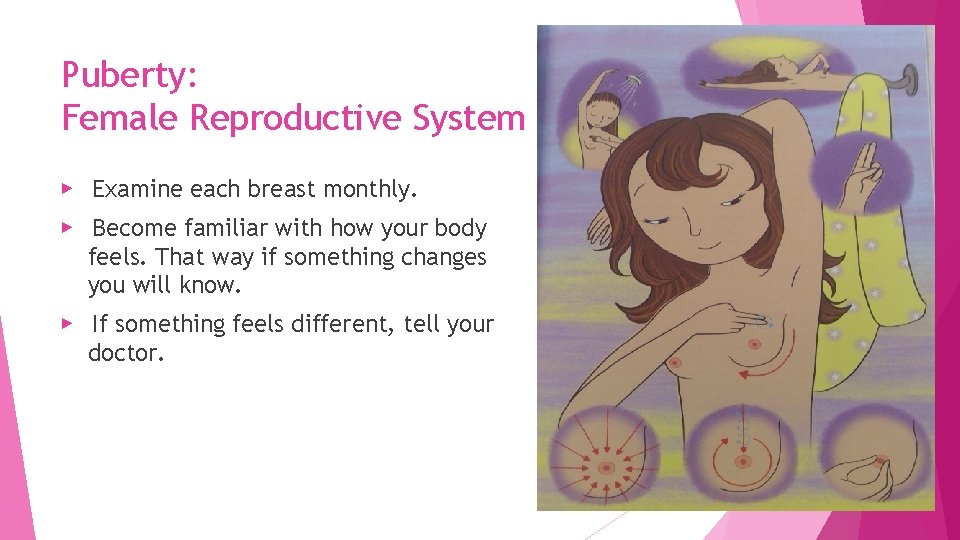 Puberty: Female Reproductive System ▶ Examine each breast monthly. ▶ Become familiar with how