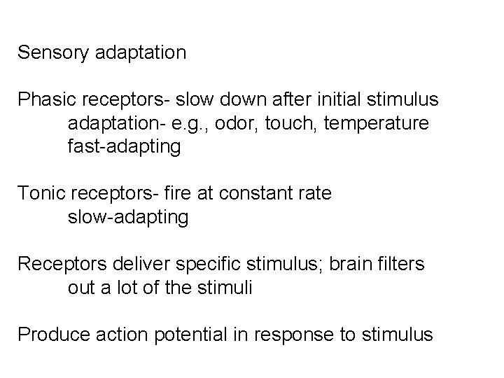 Sensory adaptation Phasic receptors- slow down after initial stimulus adaptation- e. g. , odor,