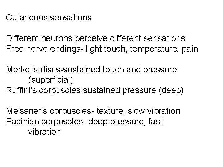 Cutaneous sensations Different neurons perceive different sensations Free nerve endings- light touch, temperature, pain