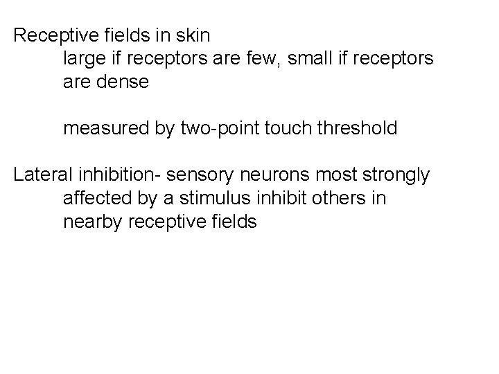 Receptive fields in skin large if receptors are few, small if receptors are dense