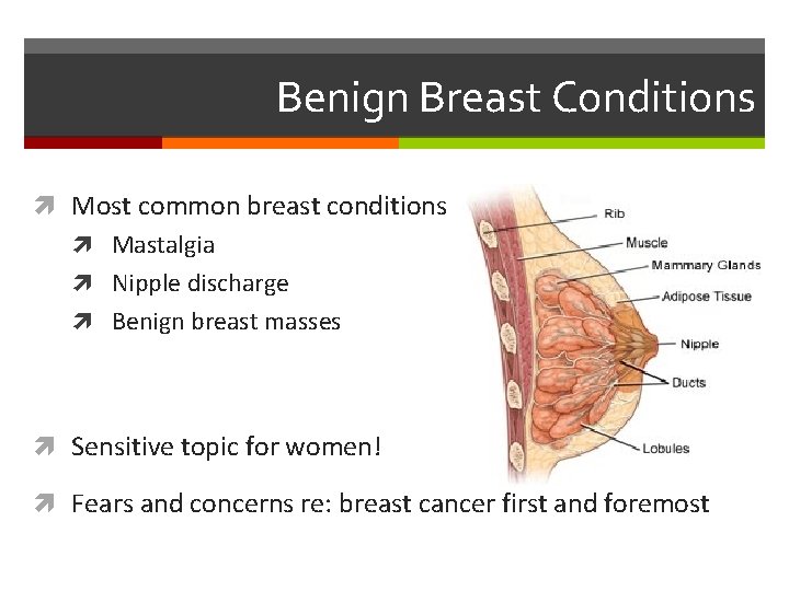 Benign Breast Conditions Most common breast conditions Mastalgia Nipple discharge Benign breast masses Sensitive