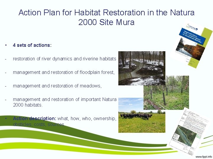 Action Plan for Habitat Restoration in the Natura 2000 Site Mura • 4 sets